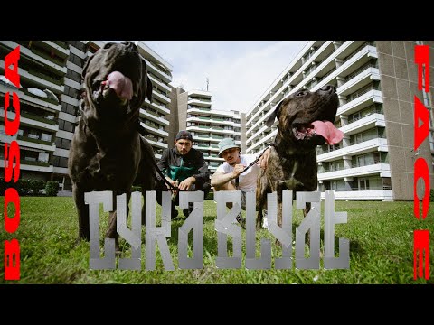 FACE feat. Bosca - Cyka Blyat [OFFICIAL VIDEO] (prod. Anubeatz)