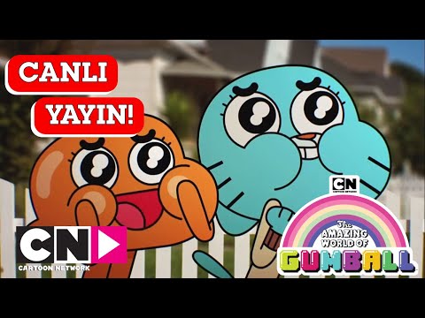 🔴 CANLI 🔴 GUMBALL | 1. Sezon Tüm Bölümler | Cartoon Network Türkiye