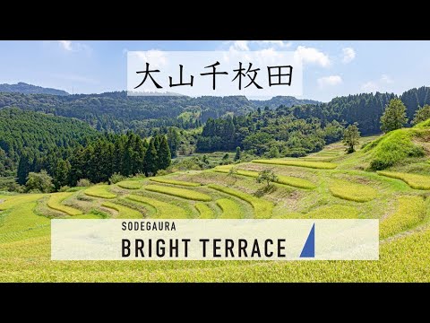 【房総エリアの魅力】大山千枚田