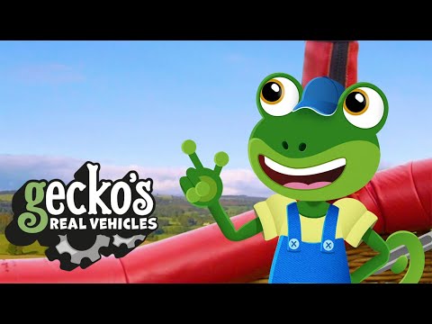 Gecko and the Hot Air Balloon | Gecko's Real Vehicles | Educational Videos For Toddlers