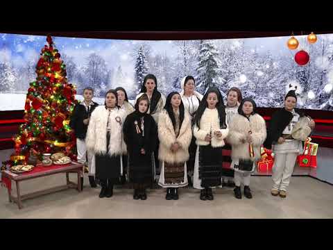 GRUPUL ZIENE SÂNZIENE - Puica neagră