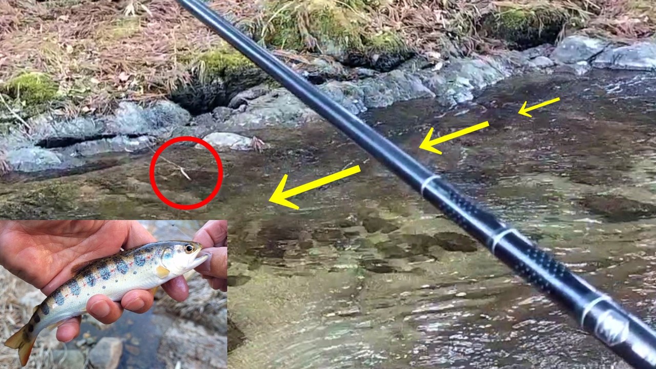 【渓流釣り】チャラ瀬で効果絶大「逆引き」で釣る【餌釣り】