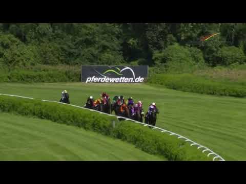 BBAG Steher Auktionsrennen Hamburg 2018