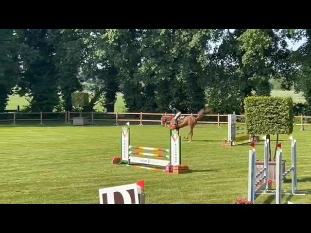 Mother Verly Chin van het Schaeck of this Implanted Embryo won the 4 years old Hendrix competition.