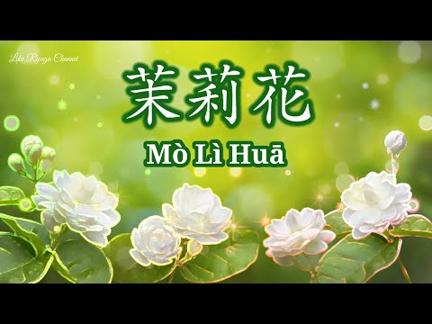 茉莉花歌 | Mo Li Hua Ge | Jasmine Song | Lagu Melati