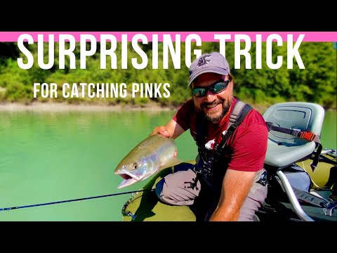 Fly Fishing for Salmon