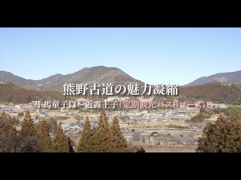 熊野三山の魅力凝縮 牛馬童子口〜近露王子（定期観光バスBコース）
