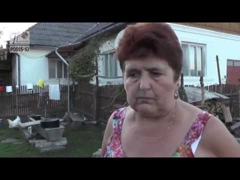 PODIȘ-SJ (2016) - Cornelia BUTUZA