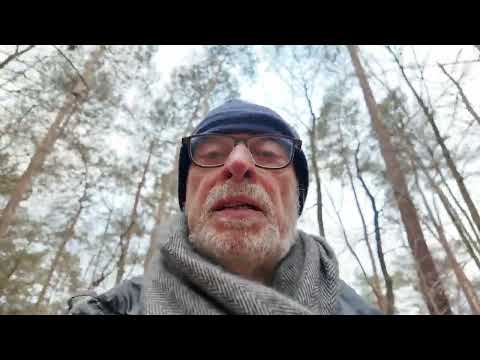 Het Zelems moeras Meldert 5 FEB 2024 Mozart versie