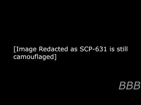 SCP 631 Nyctophobic Nocturnal Predator