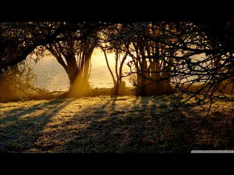 Thodoris Triantafillou & CJ Jeff # Endless Love