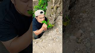 Download lagu Mbee' #shorts #trending #funny #subscribe #viral mp3