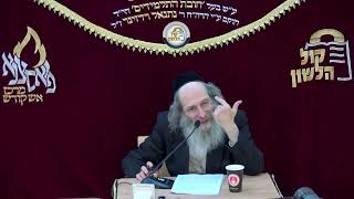 אידיש - הרב אלימלך בידרמן | תורה ותפילה - לברכה ולא לקללה, פרשת תולדות תשפ"ו / לשיעור בעברית👇🏻 (ארגון קול הלשון) - התמונה מוצגת ישירות מתוך אתר האינטרנט יוטיוב. זכויות היוצרים בתמונה שייכות ליוצרה. קישור קרדיט למקור התוכן נמצא בתוך דף הסרטון