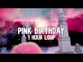 Nicki Minaj - Pink Birthday [1 Hour Loop]