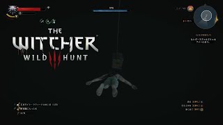 寒中水泳だーいすき「The witcher 3 wild hunt」part8