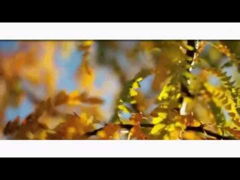 Damiro - Pomisli Na Mene Malo [OFFICIAL VIDEO]