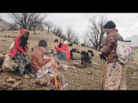 Nomadic Survival 🐐 Herding Our Goats Through the Mountain Rain and Mist 🏔️🌧️