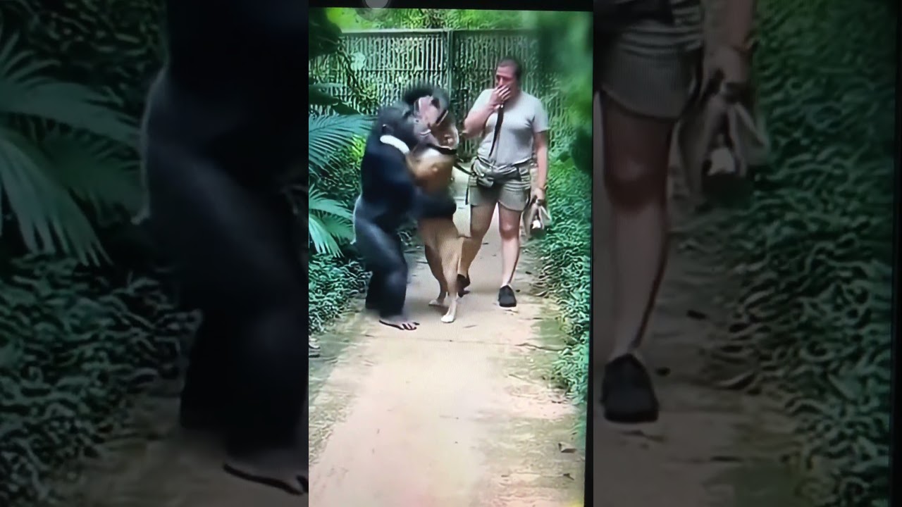 We were just raised together since childhood.