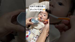 初めて離乳食を食べる赤ちゃん #育児あるある #赤ちゃん #育児記録 #離乳食 #10倍粥
