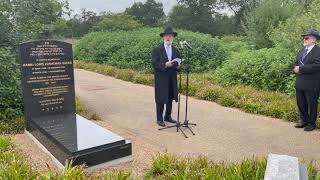 הרב סאקס זט"ל סטונסטינג / מצייבה - דיאן איוון בינסטוק