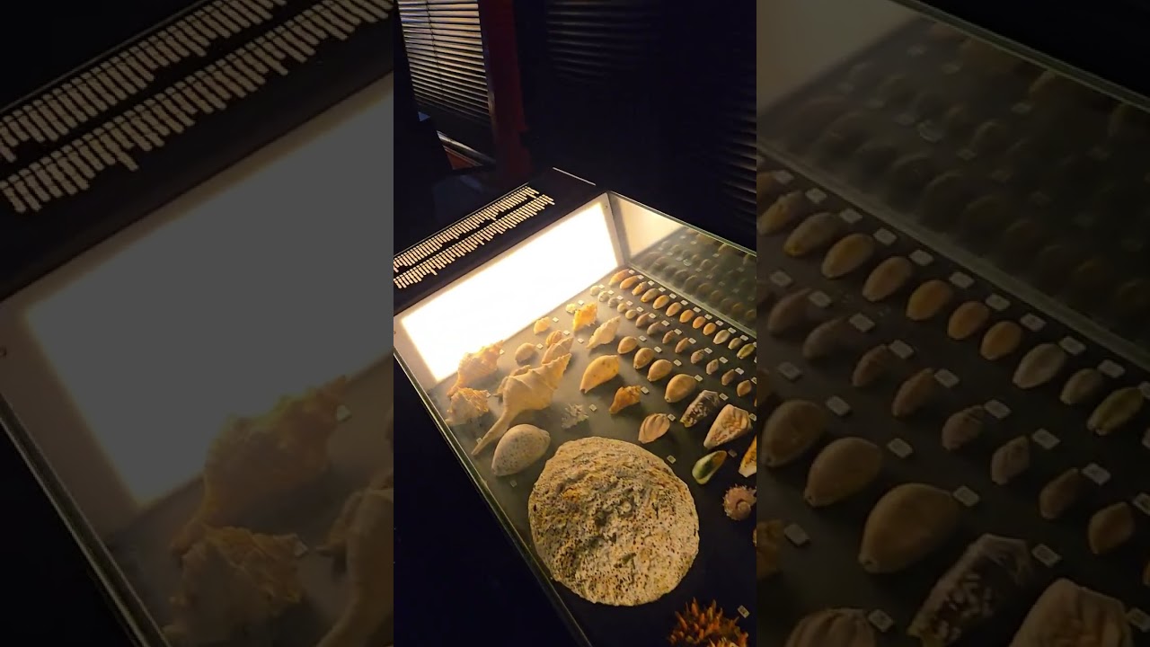 YouTube Short thumbnail