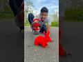 Rabbit Ko To Chapri Colour Kardya