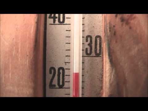 On niin kuuma että oli pakko tulla sisälle huiliin