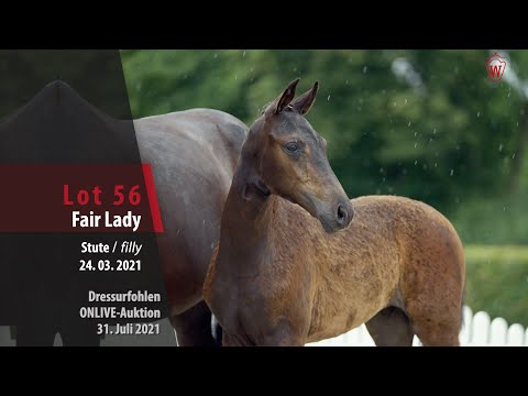Onlive-Auktion Springfohlen Lot 56 Fair Lady Stute v. For Romance II -  Dream On