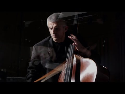 VAŇHAL, Bass Concerto (1.mov) | Božo Paradžik & Budapesti Vonósok