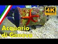 Genoa Aquarium