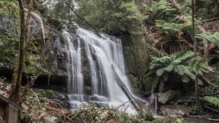 preview picture of video 'Lilydale Falls, Tasmania'