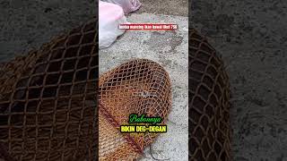 Download lagu bikin deg-degan #strike #babon #ikanbesar #ikanlele #angler #degdegan #shortvideo #viral #fypシ mp3