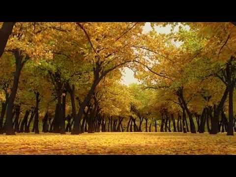 jee le Zaraa/Movie: Talaash (2012)/Singer: Vishal Dadlani/Lyrics: Javed Akhtar