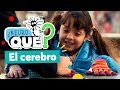 Neuroqué El Cerebro Pakapaka