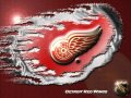 Detroit Red Wings Goal Song!:) 