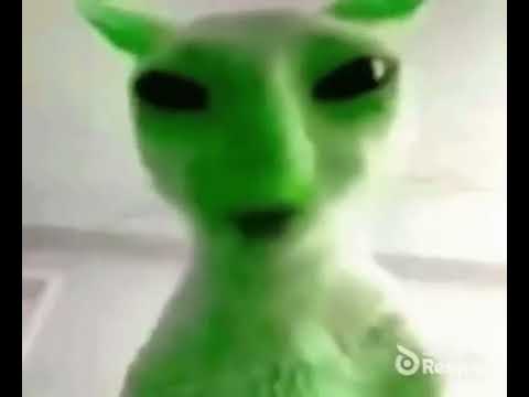 green alien cat says yaer aegh erya