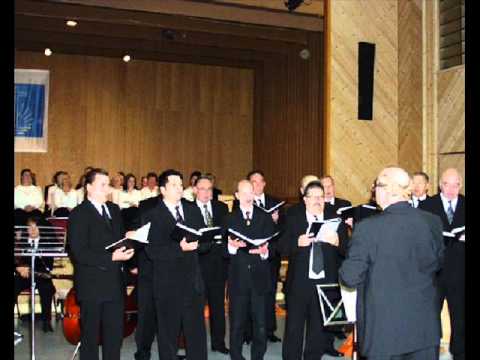 Hör ich der Heimat Lieder.wmv