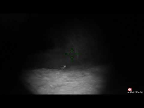 ATN 4K Pro coyote hunt