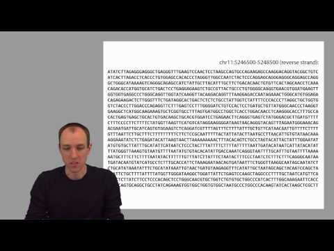 ADS1: DNA: the molecule, the string