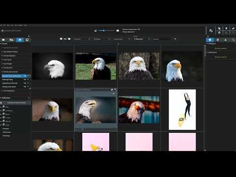 How to Instantly Find ANY Photo in Your Database [Excire's Prompt-Search AI Tool]
