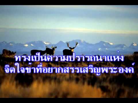 วิธีการเพิ่มขนาดอวัยวะเพศ สิ่งที่อาหารที่ควรบริโภคเพื่อให้เป็นแรง