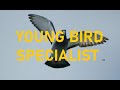 YOUNG BIRD SPECIALIST 2