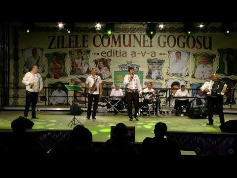 Danijela Prazic, Dragisa Paunovic & Ljubisa Bozinovic - Zilele Comunei Gogosu