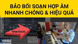 Vlog Producer #8 - Hướng Dẫn Soạn Hợp Âm Bằng Phần Mềm