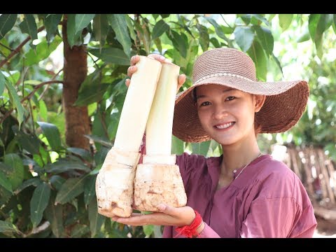 Yummy Fish Cooking With Young Banana Tree Sour soup | Yummy Fish Cooking | Village Cooking TV