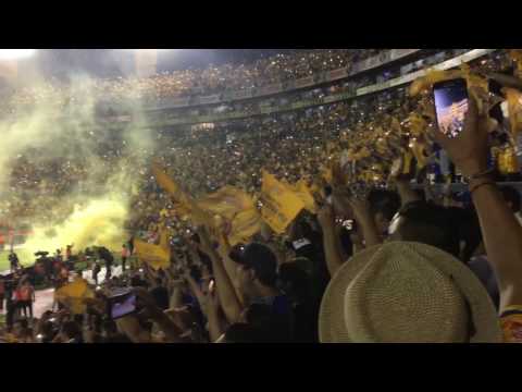 "LIBRES Y LOKOS Â¡IMPRESIONANTE RECIBIMIENTO!" Barra: Libres y Lokos • Club: Tigres