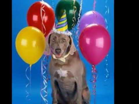 Sweedish House Mafia vs Knife Party vs Major Lazer vs Dirty South vs Benny Benassi vs DJ Marcus