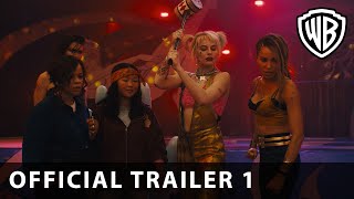 Birds of Prey (and the Fantabulous Emancipation of One Harley Quinn) (2020) Video