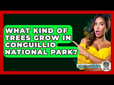 What Kind Of Trees Grow In Conguillio National Park? - South America Travel Pros