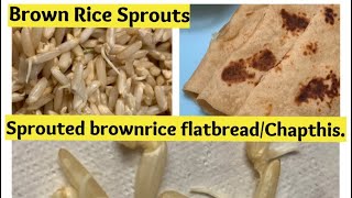 How to sprout brown rice| Sprouted brown rice flat bread/Chapatis.